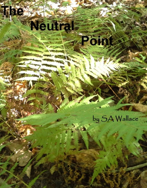 E-knjiga Neutral Point SA Wallace