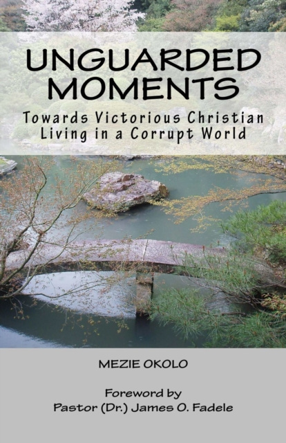 E-knjiga Unguarded Moments Mezie Okolo