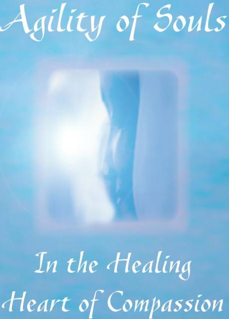 E-book Agility of Souls Anna Kavati