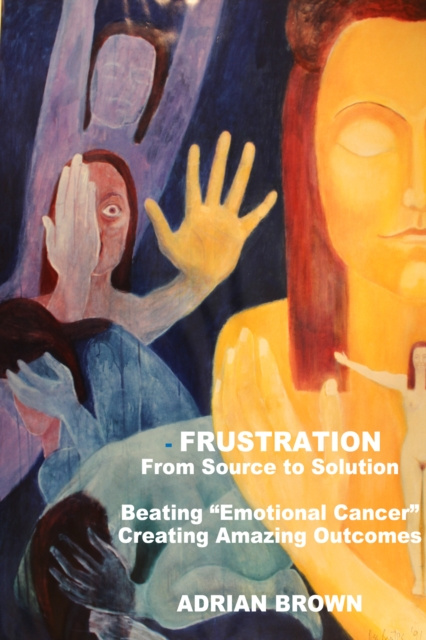 E-book Frustration - From Source to Solution Adrian Brown