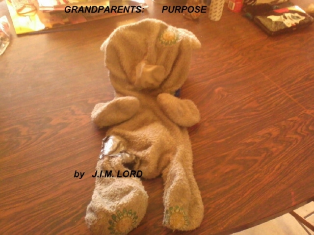 E-book Grandparents:  Purpose J.I.M. Lord