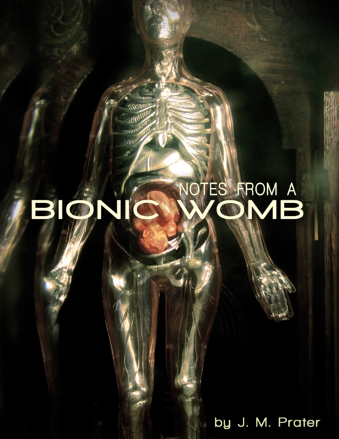 E-knjiga Notes From A Bionic Womb J M Prater