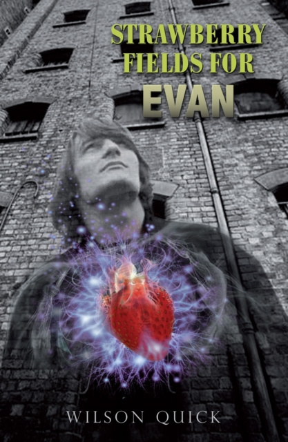 E-knjiga Strawberry Fields for Evan Wilson Quick