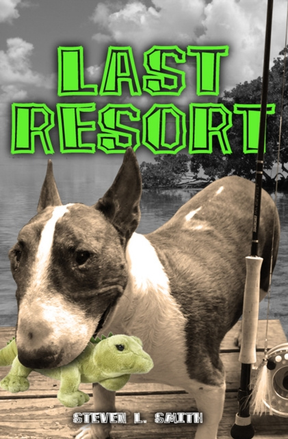 E-knjiga Last Resort Steven L. Smith
