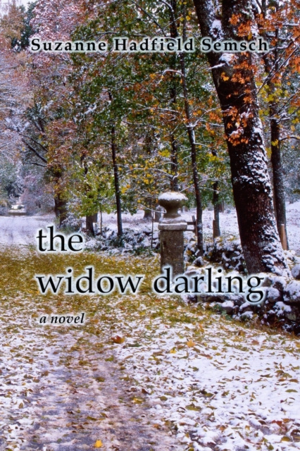 E-knjiga Widow Darling Suzanne Hadfield Semsch
