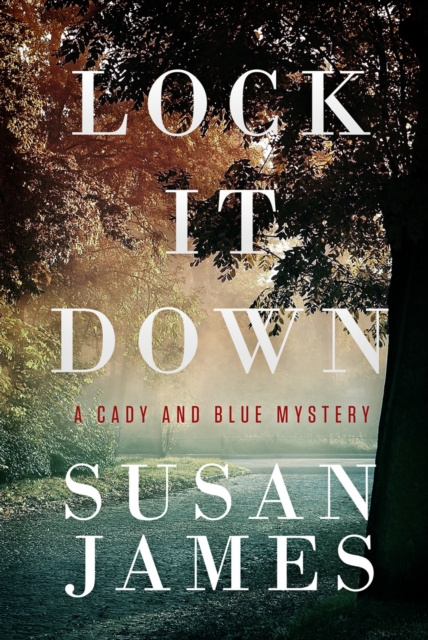 E-book Lock it Down Susan James