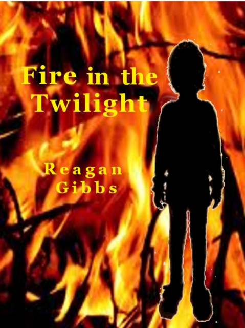E-book Fire In The Twilight Reagan Gibbs