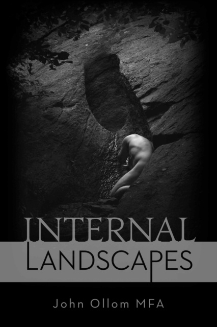 E-knjiga Internal Landscapes John Ollom MFA
