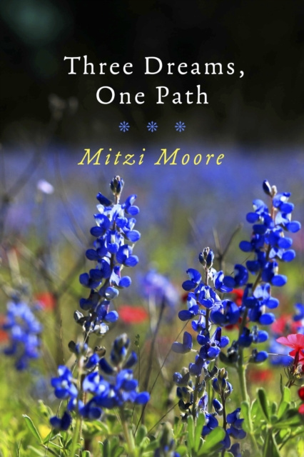 E-knjiga Three Dreams, One Path Mitzi Moore