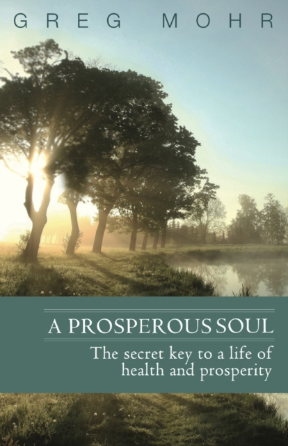 E-knjiga Prosperous Soul Greg Mohr