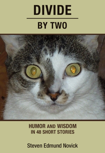 E-knjiga Divide By Two Steven Edmund Novick