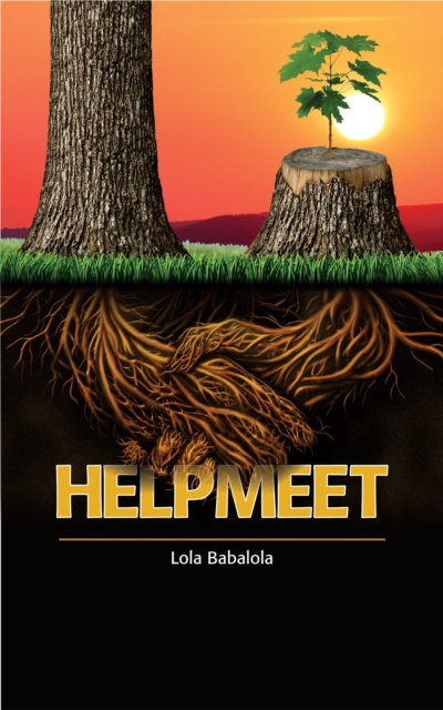 E-knjiga Helpmeet Lola Babalola