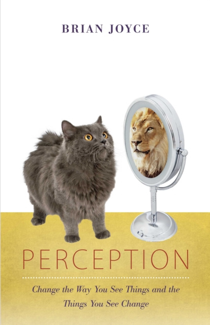E-book Perception Brian Joyce