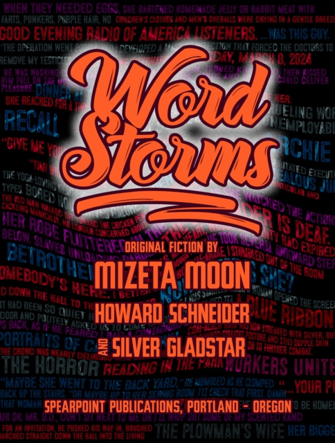 E-book Word Storms Mizeta Moon