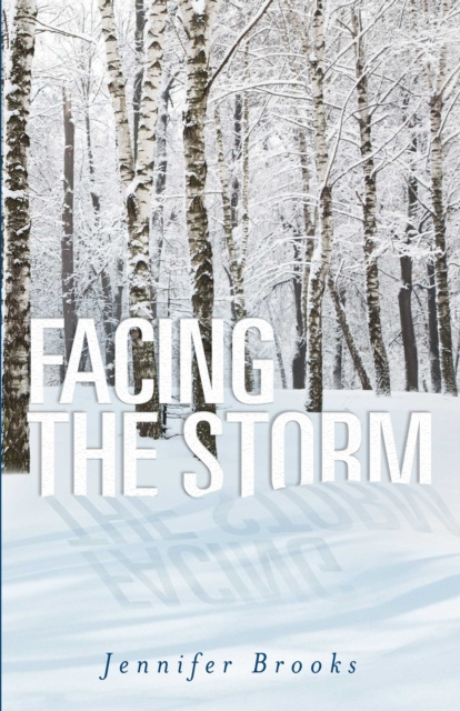E-knjiga Facing the Storm Jennifer Brooks