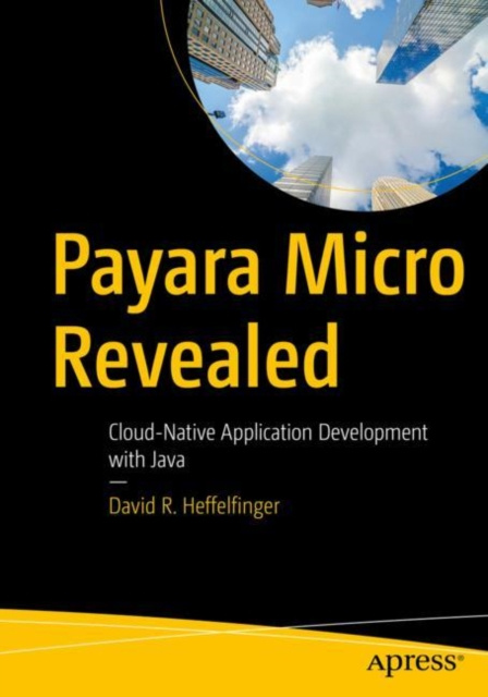 E-könyv Payara Micro Revealed David R. Heffelfinger