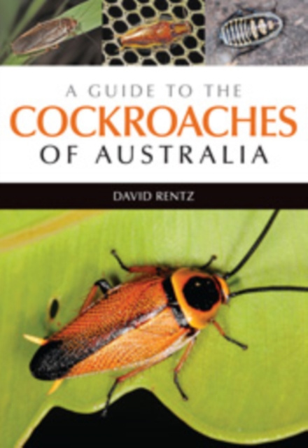 E-kniha Guide to the Cockroaches of Australia David Rentz