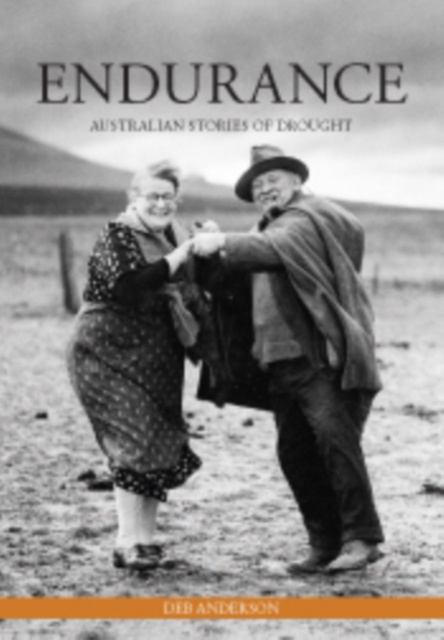 ebook Endurance Deb Anderson