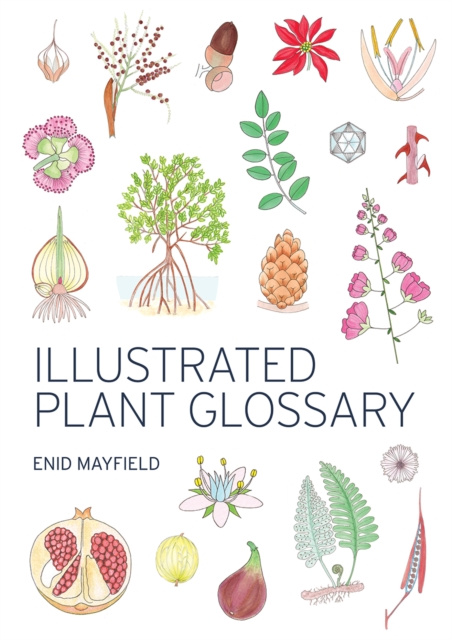 E-book Illustrated Plant Glossary Enid Mayfield