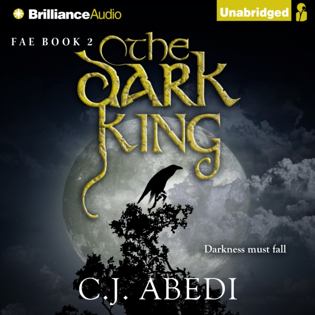 Audiokniha Dark King Emily Durante