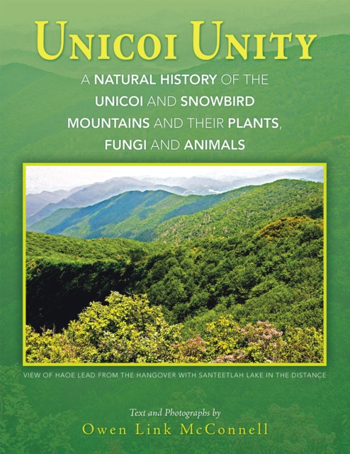 E-book Unicoi Unity Owen Link McConnell