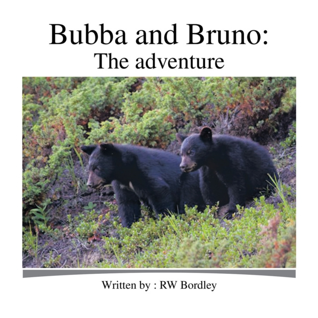 E-knjiga Bubba and Bruno RW Bordley