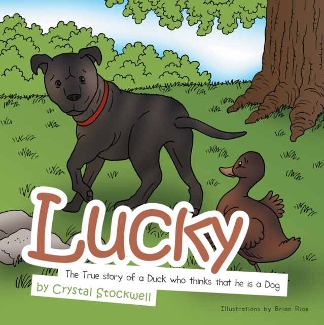 E-book Lucky Brian Rice