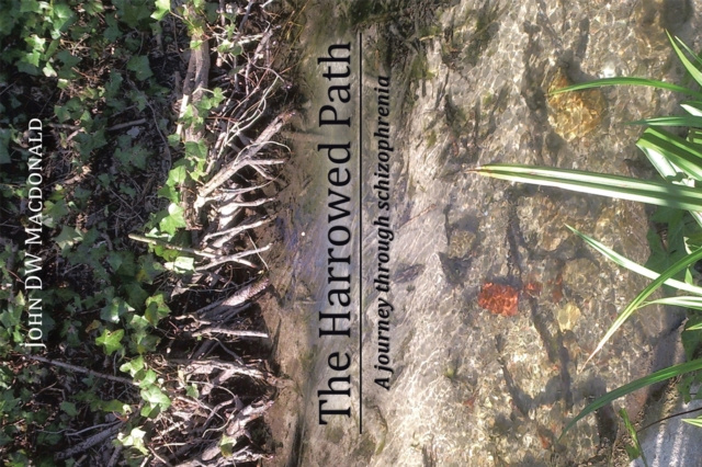 E-knjiga Harrowed Path John DW MacDonald