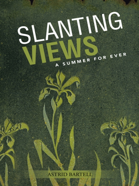 E-book Slanting Views Astrid Bartell