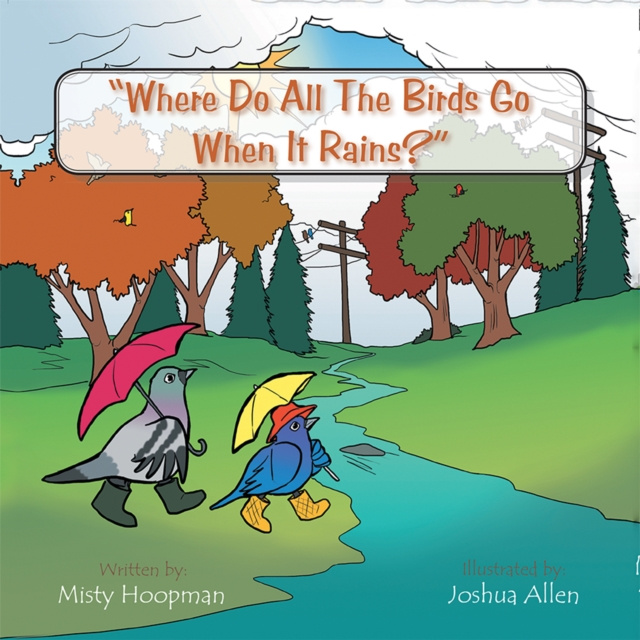 E-knjiga Where Do All the Birds Go When It Rains? Misty Hoopman