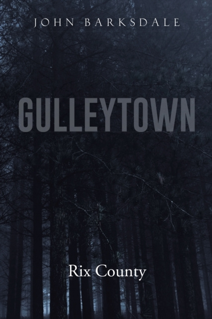 E-knjiga Gulleytown JOHN BARKSDALE