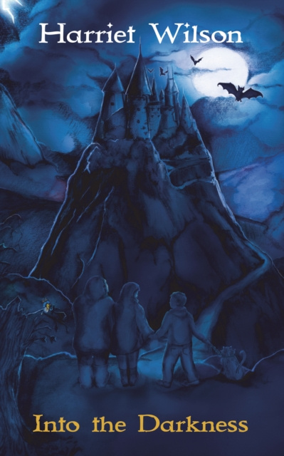 E-Book Into the Darkness Harriet Wilson