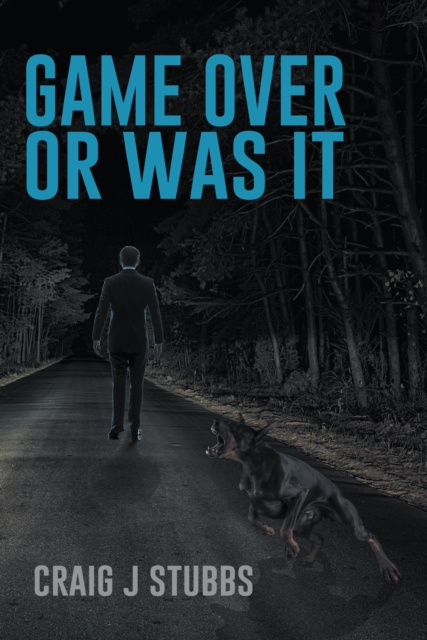 E-book Game over or Was It Craig J Stubbs