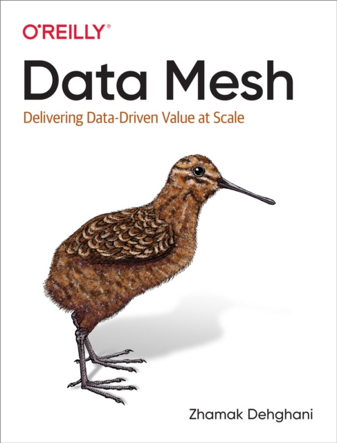 E-book Data Mesh Zhamak Dehghani