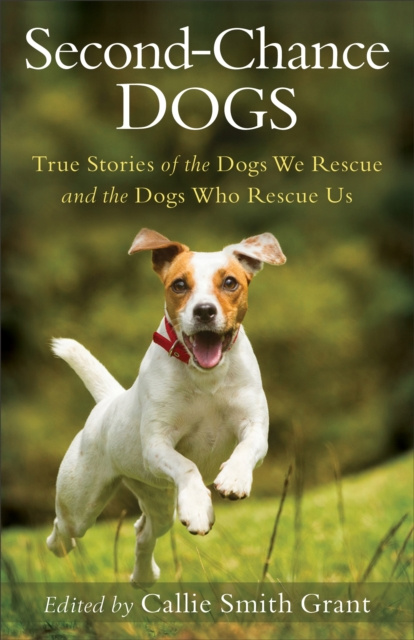 E-book Second-Chance Dogs Callie Smith Grant