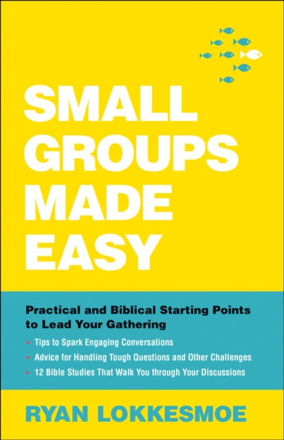 E-book Small Groups Made Easy Ryan Lokkesmoe