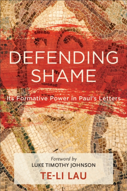 E-book Defending Shame Te-Li Lau