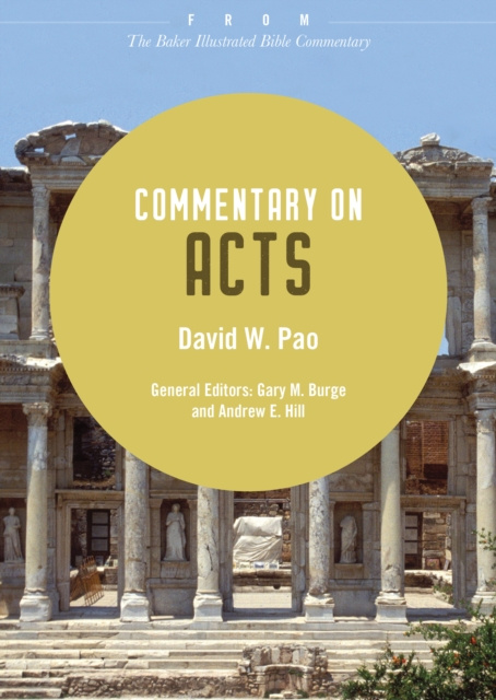 E-kniha Commentary on Acts David W. Pao