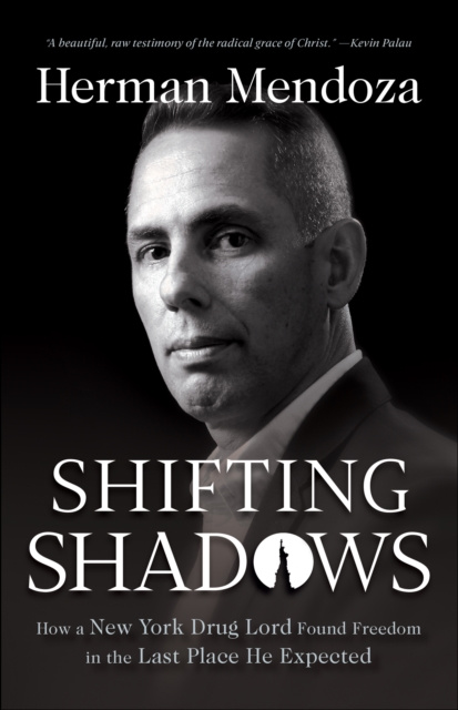 E-knjiga Shifting Shadows Herman Mendoza