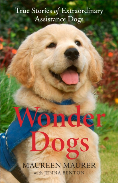 E-book Wonder Dogs Maureen Maurer
