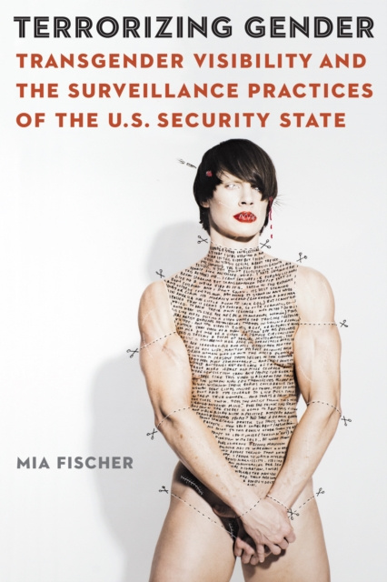 E-knjiga Terrorizing Gender Mia Fischer