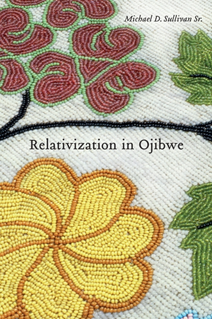 E-book Relativization in Ojibwe Sullivan