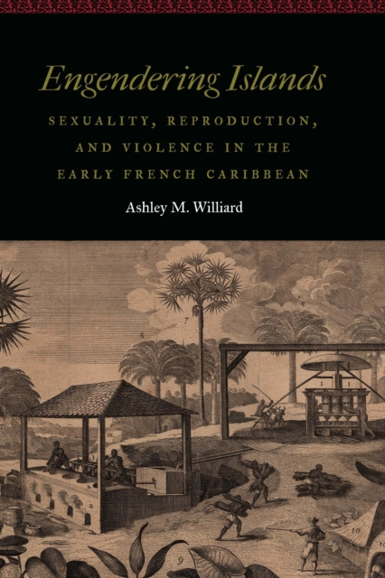 E-knjiga Engendering Islands Ashley M. Williard