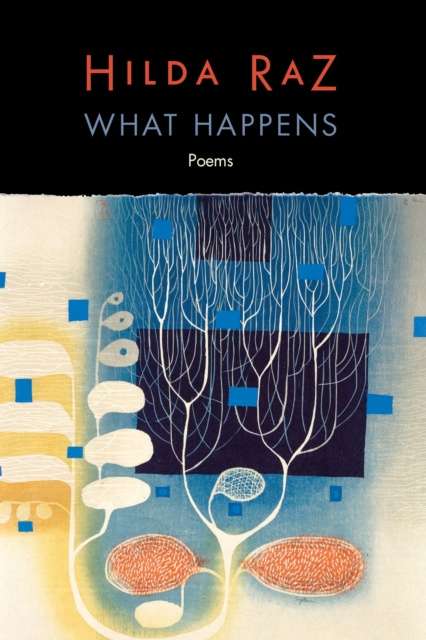 E-knjiga What Happens Raz