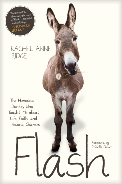 E-knjiga Flash Rachel Anne Ridge
