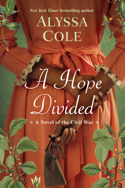 E-knjiga Hope Divided Alyssa Cole