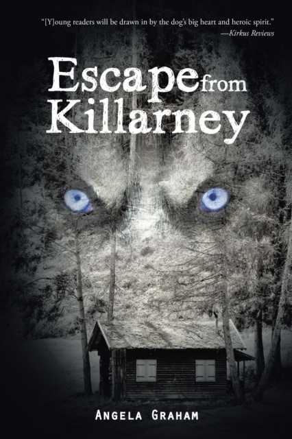 E-book Escape from Killarney Angela Graham