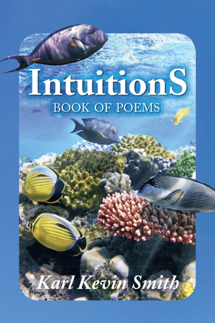 E-Book Intuitions Karl Kevin Smith