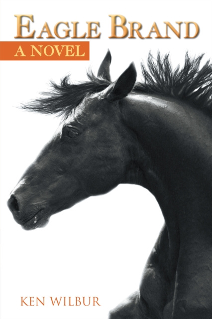 E-Book Eagle Brand Ken Wilbur