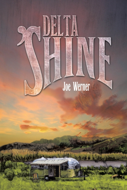 E-Book Delta 'Shine Joe Werner